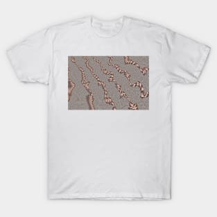 Rose Gold Abstract Texture T-Shirt